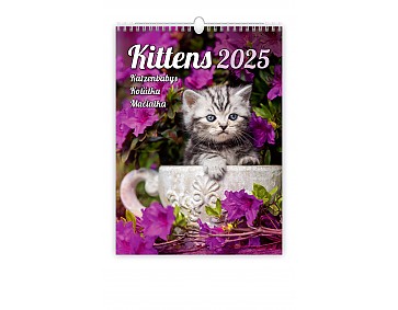 Nástěnný kalendář 2025 Kalendář Koťátka
