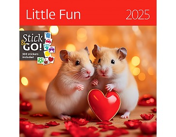 Nástěnný poznámkový kalendář 2025 Kalendář Little Fun