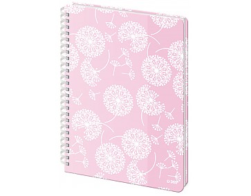 College blok A4 – Bliss
