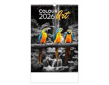 Kalendář Colour Art