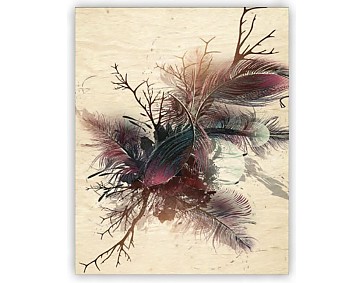 Dřevěný obraz  Feathers