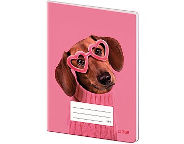 Sešit 544 papírové desky – Cute