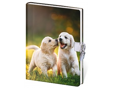 Památník Helma 365 13x18 cm se zámkem - Fun