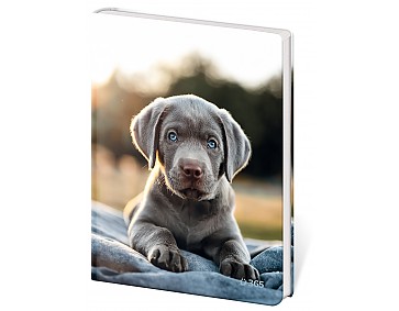 Památník A5 Helma 365 13x18 cm - Pup