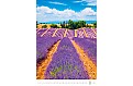 Nástěnný kalendář 2024 Kalendář Provence