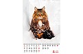 Nástěnný kalendář 2024 Kalendář Kočičky