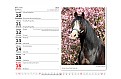 Stolní kalendář 2025 Koně/Kone
