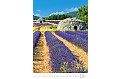 Nástěnný kalendář 2025 Kalendář Provence