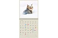 Nástěnný poznámkový kalendář 2025 Kalendář Cats
