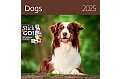 Nástěnný poznámkový kalendář 2025 Kalendář Dogs