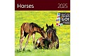 Nástěnný poznámkový kalendář 2025 Kalendář Horses