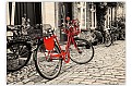Dřevěný obraz Bicycle