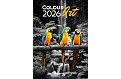 Kalendář Colour Art