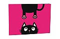 Desky na číslice Crazy Kitten