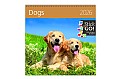 Kalendář Dogs