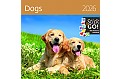 Kalendář Dogs