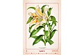 Kalendář Herbarium