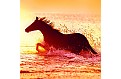 Kalendář Horses