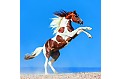 Kalendář Horses