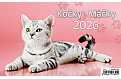 Kalendář Kočky
