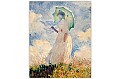 Dřevěný obraz Monet