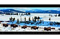Kalendář Panoramaphoto