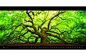 Kalendář Panoramaphoto