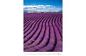 Kalendář Provence