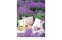 Kalendář Provence