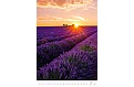 Kalendář Provence