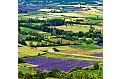 Kalendář Provence - vázanka