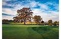 Nástěnný kalendář 2026 - Golf - české resorty 