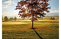 Nástěnný kalendář 2026 - Golf - české resorty 
