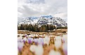 Nástěnný kalendář 2026 - Tatry - A3 