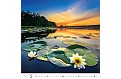 Nástěnný kalendář 2027 Helma - Aqua