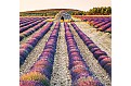 Kalendář Provence - vázanka