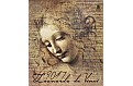 Leonardo da Vinci nástěnný kalendář 2017