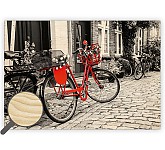 Dřevěný obraz Bicycle