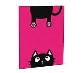 Desky na abecedu Crazy Kitten