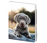 Památník A5 Helma 365 13x18 cm - Pup